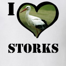 European White Stork Bird Lover Bird Watching Cool Funny Gift T Shirt 26192127