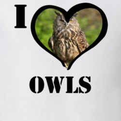 Eurasian Eagle Owl Bird Lover Bird Watching Cool Funny Gift T Shirt 26192131