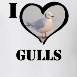 Rossâs Gull Bird Lover Bird Watching Cool Funny Gift T Shirt 26192132