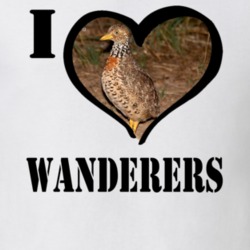 Plainswanderer Bird Lover Bird Watching Cool Funny Gift T Shirt 26192134