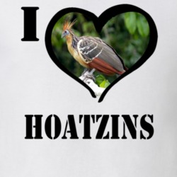 Hoatzin Bird Lover Bird Watching Cool Funny Gift T Shirt 26192135