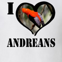 Andean Cock of the Rock Bird Lover Birdwatching Cool Funny Gift T Shirt 26192191