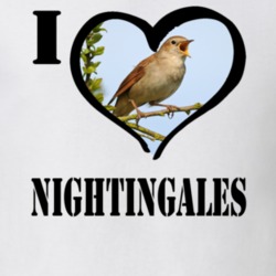 Common Nightingale Bird Lover Birdwatching Cool Funny Gift T Shirt 26192583