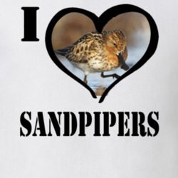 Spoonbilled Sandpiper Bird Lover Birdwatching Cool Funny Gift T Shirt 26192585