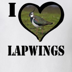 Northern Lapwing Bird Lover Birdwatching Cool Funny Gift T Shirt 26192591