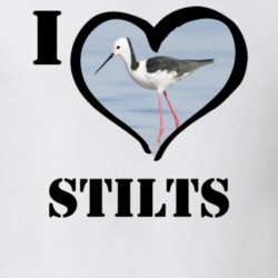 Black Winged Stilt Bird Lover Birdwatching Cool Funny Gift T Shirt 26192594
