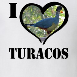 Great Blue Turaco Bird Lover Birdwatching Cool Funny Gift T Shirt 26192600