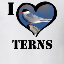 Arctic Tern Bird Lover Birdwatching Cool Funny Gift T Shirt 26192603