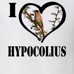 Hypocolius Bird Lover Birdwatching Cool Funny Gift T Shirt 26192606
