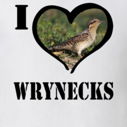 Eurasian Wryneck Bird Lover Birdwatching Cool Funny Gift T Shirt 26192610