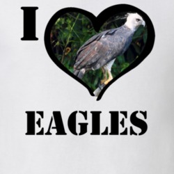 Harpy Eagle Bird Lover Birdwatching Cool Funny Gift T Shirt 26192612