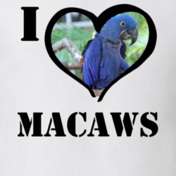 Hyacinth Macaw Bird Lover Birdwatching Cool Funny Gift T Shirt 26192618
