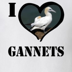 Northern Gannet Bird Lover Birdwatching Cool Funny Gift T Shirt 26192620