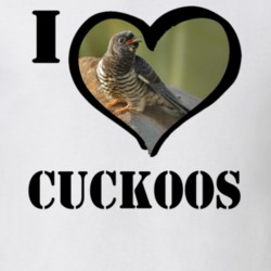 Common Cuckoo Bird Lover Birdwatching Cool Funny Gift T Shirt 26192627