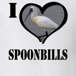 Black Faced Spoonbill Bird Lover Birdwatching Cool Funny Gift T Shirt 26192629