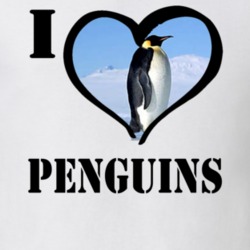 Emperor Penguin Bird Lover Birdwatching Cool Funny Gift T Shirt 26192641