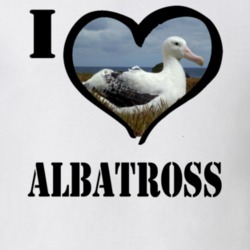 Wandering Albatross Bird Lover Birdwatching Cool Funny Gift T Shirt 26192643
