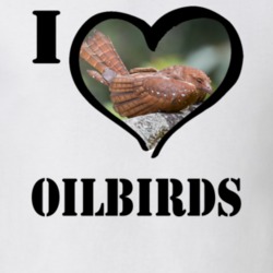 Oilbird Bird Lover Birdwatching Cool Funny Gift T Shirt 26192648
