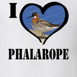 Rednecked Phalarope Bird Lover Birdwatching Cool Funny Gift T Shirt 26192650