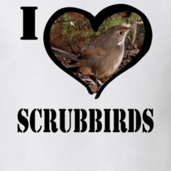 Noisy Scrub Bird Bird Lover Birdwatching Cool Funny Gift T Shirt 26192654