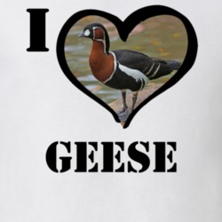 Red Breasted Goose Bird Lover Birdwatching Cool Funny Gift T Shirt 26192661