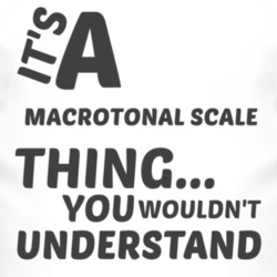 Macrotonal Scale Thing You Wouldnt Understand Music T Shirt 2704018