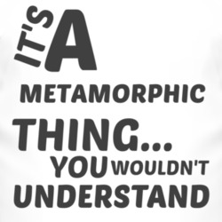 Metamorphic Thing You Wouldnt Understand Music T Shirt 2704042