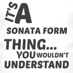 Sonata Form Thing You Wouldnt Understand Music T Shirt 2704692