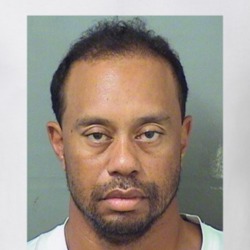 Tiger Woods DUI Fan Mugshot T Shirt 30505201