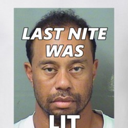 Tiger Woods DUI Fan Mugshot T Shirt 30505208