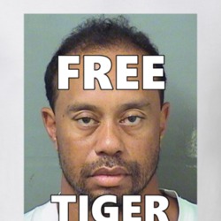 Tiger Woods Free DUI Fan Mugshot T Shirt 30506612