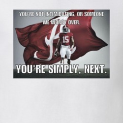 Alabama Crimson Tide National Champions Fan Football T Shirt 33187268