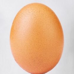 Instagram Egg Post World Record T Shirt 35302886