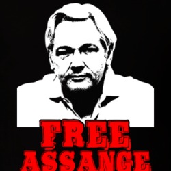 Free Julian Assange Posterized T Shirt 36092237