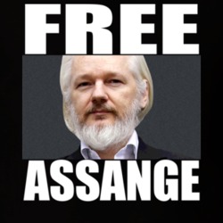 Free Julian Assange T Shirt 36092238