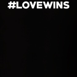 Love Wins #lovewins LGBT Pride T Shirt 11353256