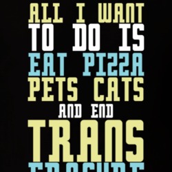 All I Want Is To Eat Pizza Pet Cats and End Trans Erasure T Shirt 12556232