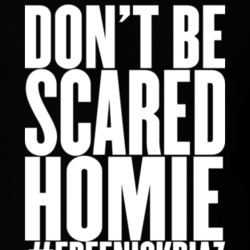 Free Nick Diaz #freenickdiaz Don't Be Scared Homie MMA T Shirt 16634406