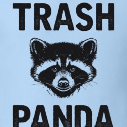 Trash Panda Funny Raccoon T Shirt 17031842