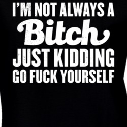 I'm Not Always A Bitch Just Kidding Go Fuck Yourself Worn Look T Shirt 17909377