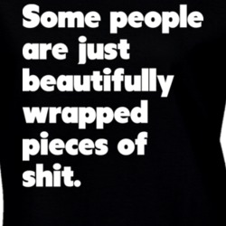 Some People Are Just Beautifully Wrapped Pieces of Shit Funny T Shirt 18286225