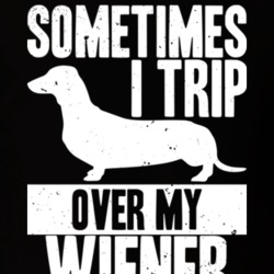 Sometimes I Trip Over My Wiener Funny Dachshund Dog Distressed T Shirt 18808476