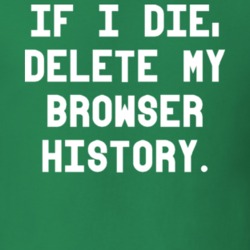 If I Die Delete My Browser History Funny Geek T Shirt 18953886