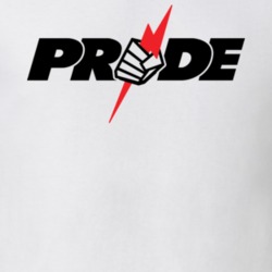 Pride FC MMA Fighting Letter Logo White T Shirt 18954011