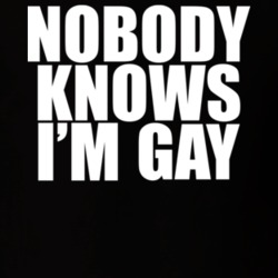 Nobody Knows I'm Gay LGBT T Shirt 19076835