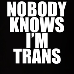 Nobody Knows I'm Trans Transgender LGBT T Shirt 19076909