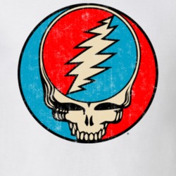 Grateful Dead Steal Your Face Worn Look T Shirt 21842262