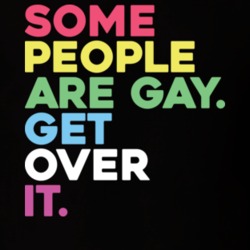 Some People Are Gay Get Over It LGBT T Shirt 22412941