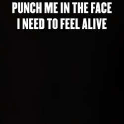Punch Me In The Face I Need To Feel Alive T Shirt 27320186