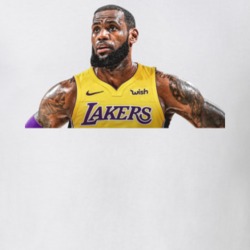 Lebron James Los Angeles Lakers Vest Basketball Fan Essential Gift T Shirt 34369349